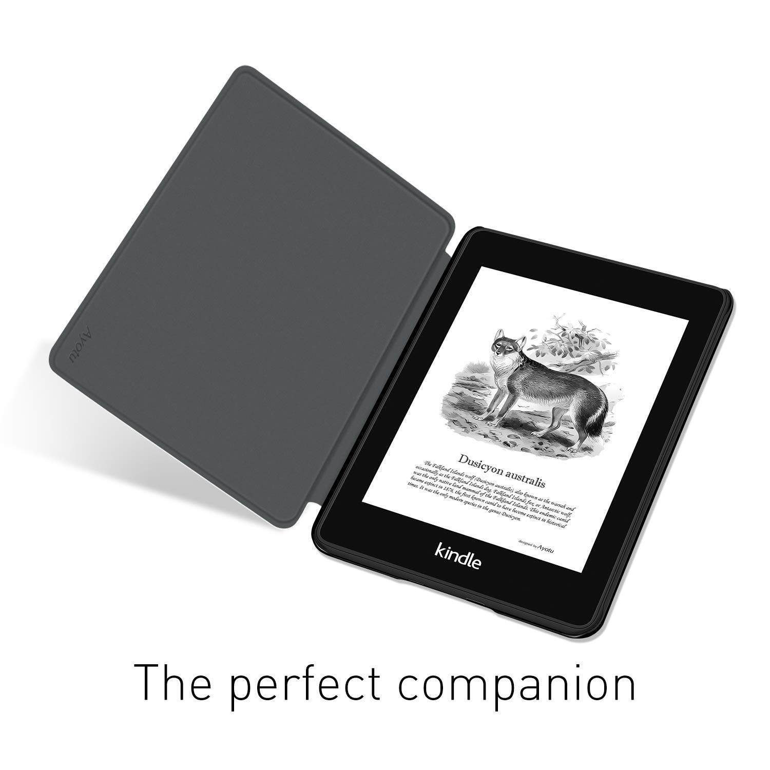 حافظة ذكية لهاتف Kindle Paperw - مراجعة Kindle Tablet Accessories وسعره